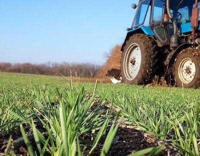 Поради аграріям: як не спричинити поганий врожай чи призвести до загибелі посівів взимку