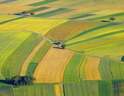 Аграріїв запрошують до участі в земельних торгах