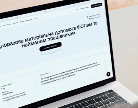 Мінцифри: Понад 33 тисячі українців успішно подали заяви на отримання матеріальної допомоги ФОПам у Дії