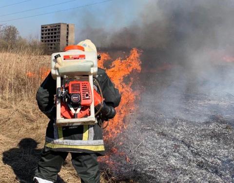 Припиніть спопеляти Львівщину: за добу рятувальники погасили 87 пожеж сухостою (фото)