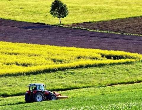 За результатами цьогорічних торгів місцеві ради області отримуватимуть  понад  6,5 мільйони гривень за оренду земель