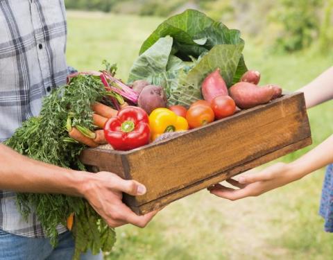 Індекс обсягів сільськогосподарської продукції на Львівщині склав 105,7%