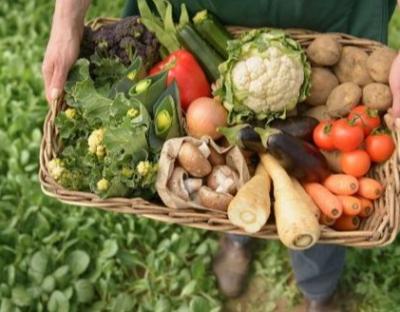 Стартувала нова програма  «Органічна торгівля заради розвитку у Східній Європі» (OT4D)