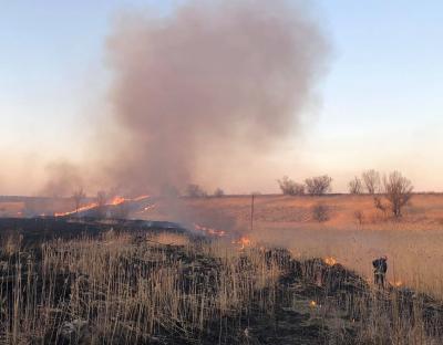 За добу вогнеборці ліквідували 107 пожеж сухої трави 