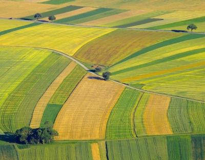 Аграріїв запрошують взяти участь у земельних аукціонах