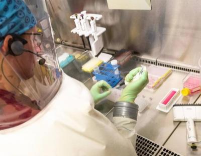 COVID-19: за добу на Львівщині більше 500 нових хворих