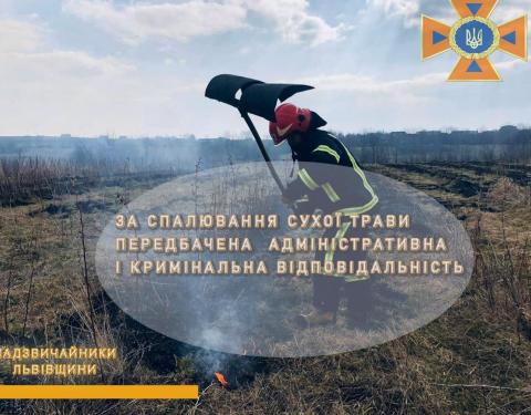 За минулу добу на Львівщині зареєстрували 16 пожеж сухої трави