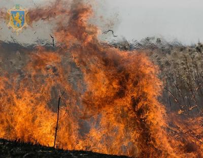 За добу в області зафіксували майже 100 підпалів сухої рослинності