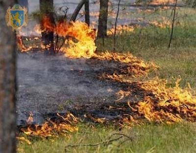 Школярі долучились до флешмобу у парку «Равське Розточчя»