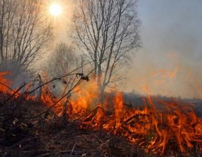 За порушення вимог пожежної безпеки каратимуть більшими штрафами: прийнято Закон