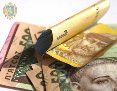 800 тис грн - на реалізацію 30 мікропроектів, розроблених інститутами громадянського суспільства