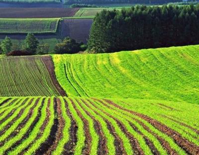 Відомості про нормативну грошову оцінку земель Львівщини внесли до  Державного земельного кадастру