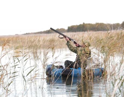 У Львівській області розпочинається полювання на мисливські види птахів