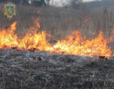 Мешканців Львівщини вкотре застерігають від спалення сухої рослинності