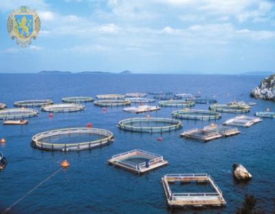 Для виробників аквакультури у 2019 році передбачили фінансову підтримку