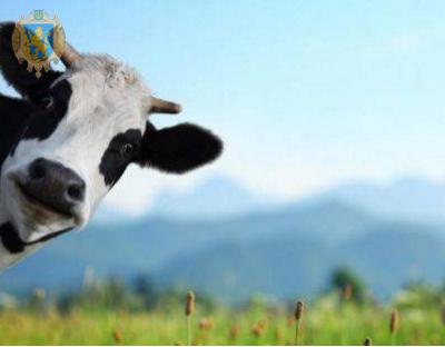 На Львівщині відкрили ще одну сімейну ферму