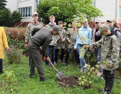 Зелена країна: майже 200 тис дерев висадили на Львівщині у межах екологічної ініціативи Президента України