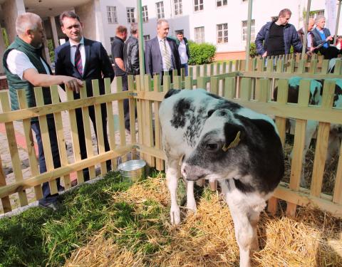 На Львівщині стартував II Молочний форум 