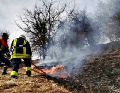 На Львівщині за спалювання сухостою накладено штрафів на 26 010 грн