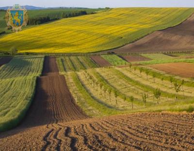 28 березня відбудуться земельні торги з продажу права оренди земельних ділянок сільськогосподарського призначення
