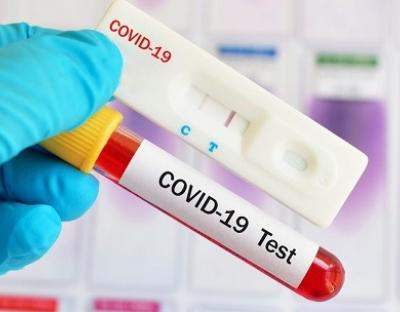 На Львівщині зафіксовано 203 нових випадки захворювання на коронавірус