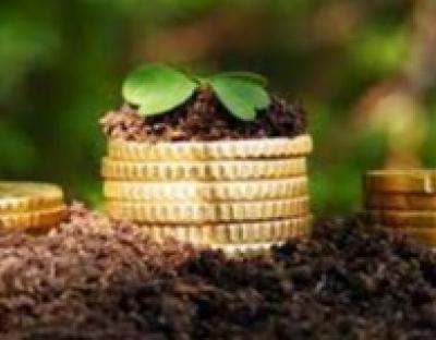 Уряд спростив та уніфікував нормативно-грошову оцінку земель