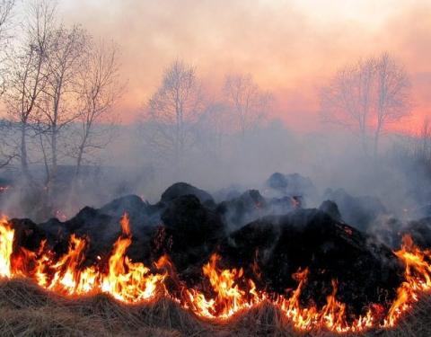 До уваги мешканців: синоптики попереджають про надзвичайну пожежну небезпеку на Львівщині