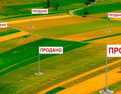 На Львівщині відбулись перші електронні земельні аукціони