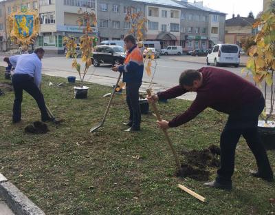 У Миколаєві висадили магнолію в межах акції «Посади дерево миру»