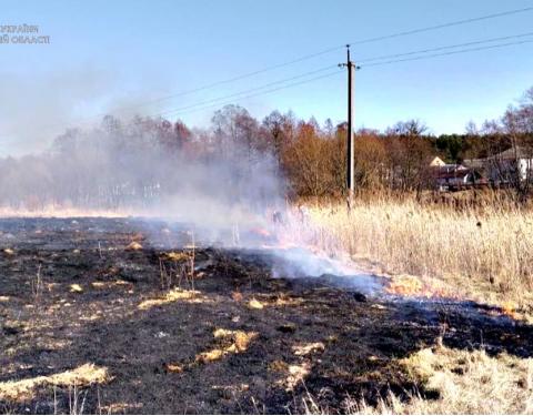 Спіймали на «гарячому»: за добу на Львівщині затримали 10 паліїв сухої трави