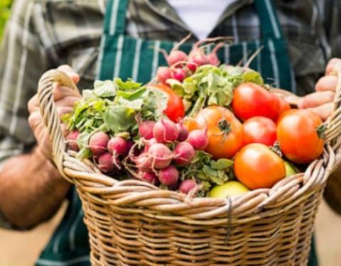 У 2020 році на Львівщині створили три сільськогосподарських кооперативи