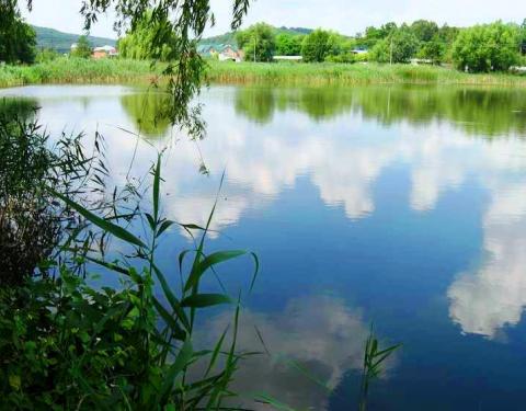 Під час аукціону в оренду передали три водні об’єкти на території Львівщини