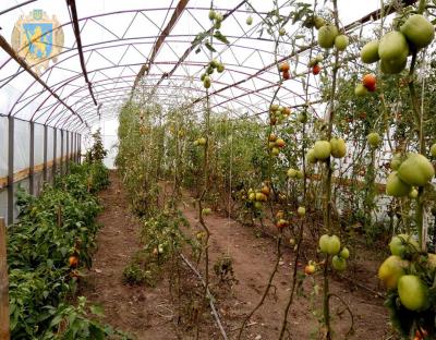 Сільськогосподарські підприємства Львівщини взяли участь у семінарі щодо органічного землеробства