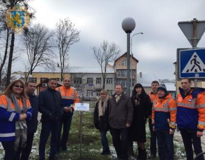 Миколаїв долучився до акції «Посади дерево миру»