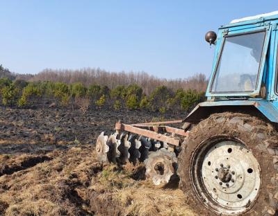 Лісівники закликають не випалювати суху рослинність