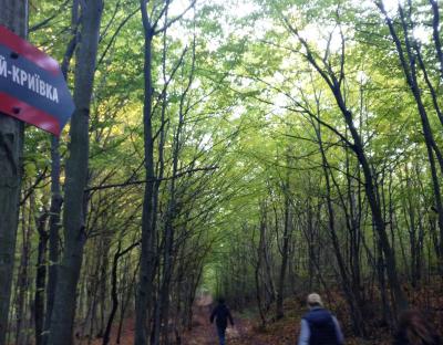 У День Гідності і Свободи на Львівщині пропонують відвідати повстанські криївки