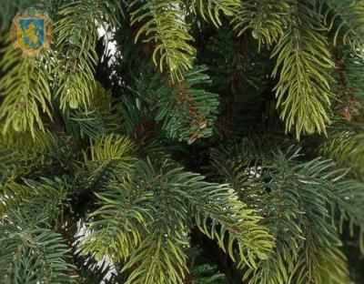 Державні лісогосподарські підприємства Львівщини реалізували 6,9 тисяч різдвяних ялинок