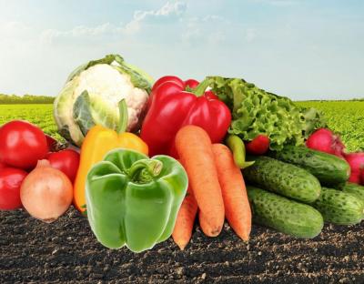 Виробники плодово-овочевої продукції області зможуть відшкодувати витрати на засоби захисту та живлення рослин