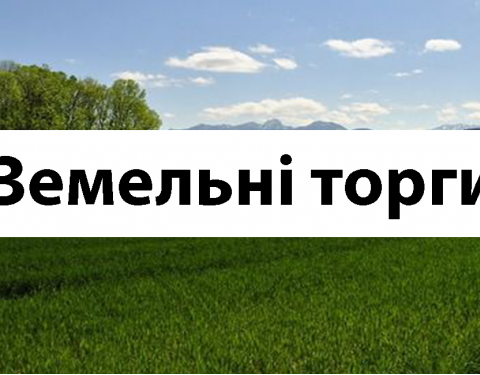 Електронні земельні торги з продажу права оренди земельних ділянок сільськогосподарського призначення відбудуться  3 травня