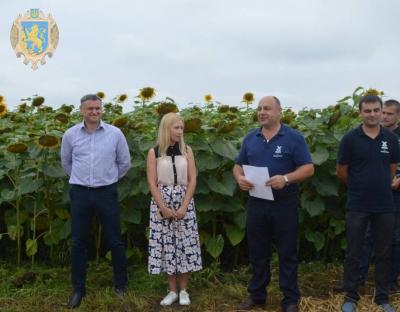 Аграріїв ознайомили із перспективою вирощування соняшника в області 