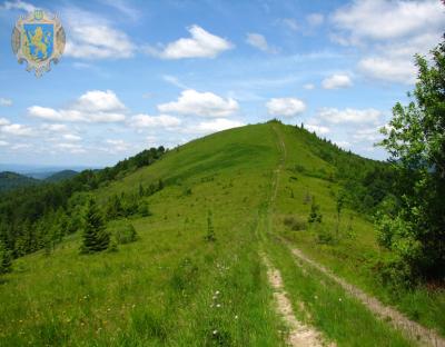 На Львівщині завершили ознакування пішохідного шляху «Росохацькі полонини»