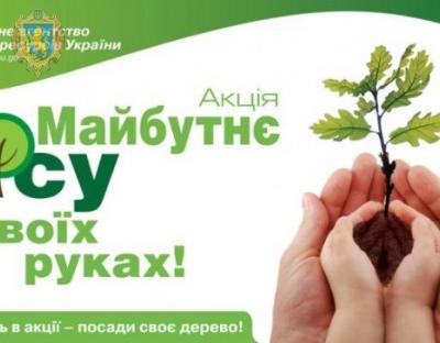 Завтра стартує акція «Майбутнє лісу у твоїх руках-2019»