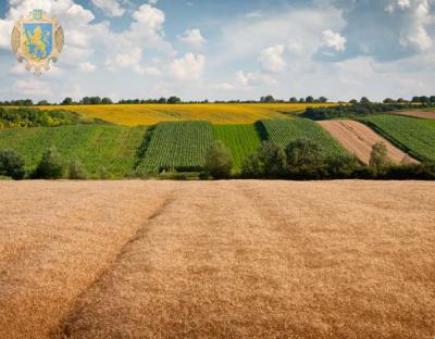 Мешканцям Львівщини нагадують про порядок виділення невитребуваних паїв 