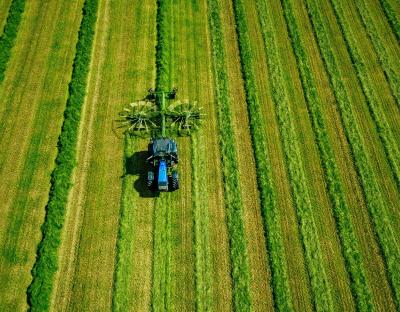 До уваги аграріїв: 16 вересня проведуть земельний аукціон з продажу прав оренди