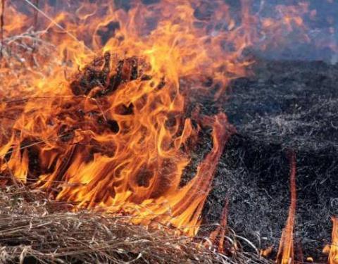 Мешканців Львівщини закликають не спалювати суху траву