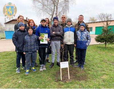 До екологічної акції  "Посади дерево миру" долучились школярі Старосамбірщини