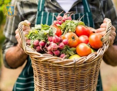 На Львівщині знизились ціни на продукти