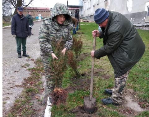 На Бродівщині озеленили територію Підкамінського неврологічного інтернату