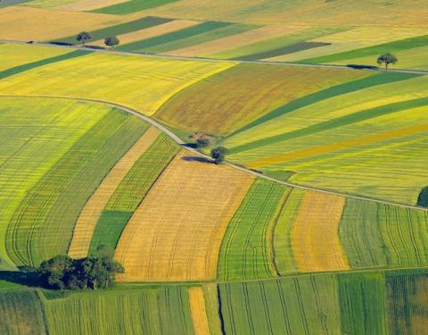 Аграріїв запрошують до участі в земельних торгах