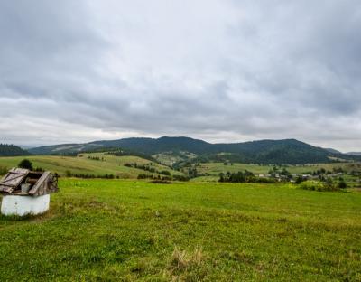 Сьогодні в Україні відзначають День працівника природно-заповідної справи